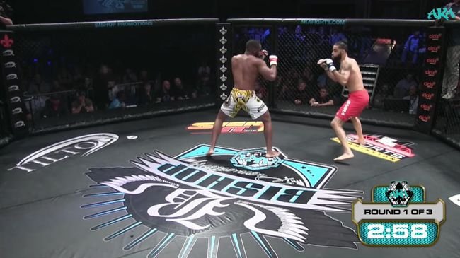 20190123_MMA_02.jpg
