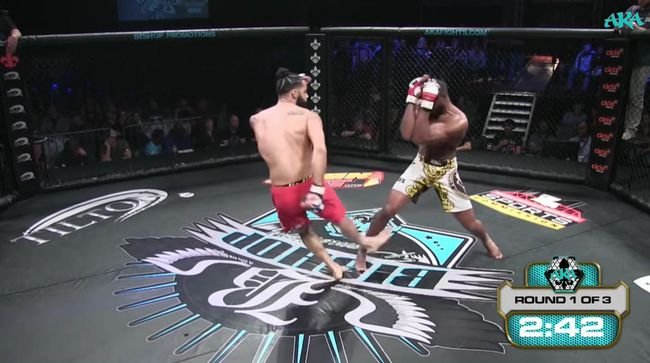 20190123_MMA_03.jpg