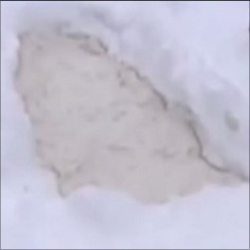 2gaturanking_01.jpg