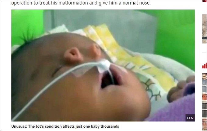 2tubes.jpg