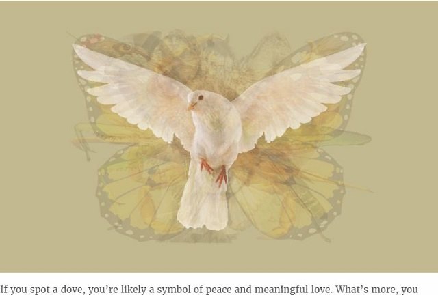 どの動物が見えたかでわかる アニマル性格診断 が的中率抜群すぎる あなたの隠れた性格から本能まで すべて丸裸