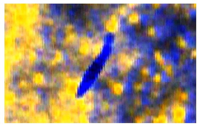 16万光年先の銀河でも葉巻型UFOが激写される、グーグルスカイの偉業! 何者かから逃げている!?の画像2