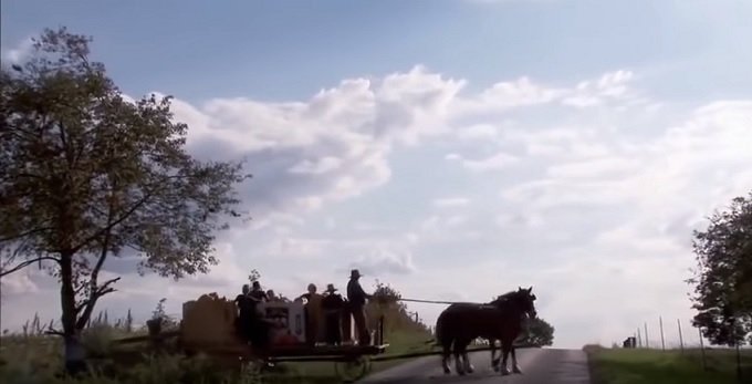 Amish.jpg