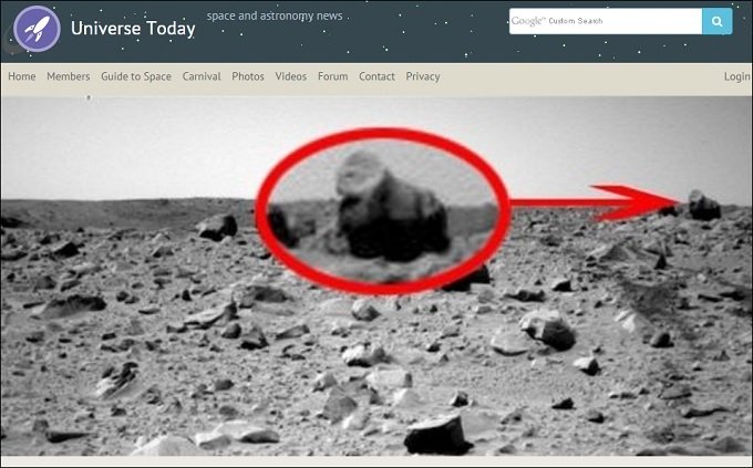 AnimalsOnMars.jpg