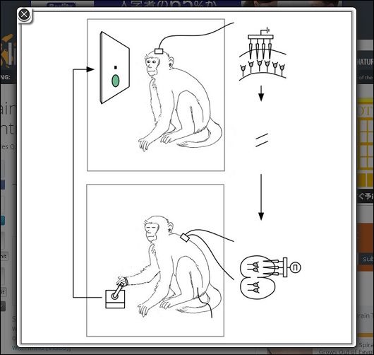 Avatar.jpg