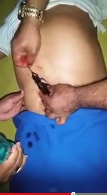BellyButton.jpg