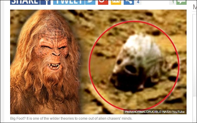 火星に「ビッグフットの頭蓋骨」が転がっていた! UMAとは地球外生命体だったのか?の画像2
