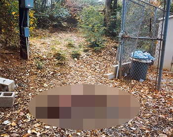 BodyFarm_2.jpg