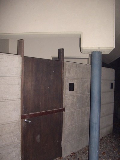CIMG2655.jpg
