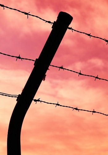 精子ぶっかけ、緑の大便… 刑務所の壮絶なイジメと劣悪環境を徹底取材!の画像2