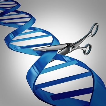 CRISPR_4.jpg