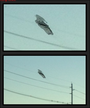 CoffinUFO_2.jpg