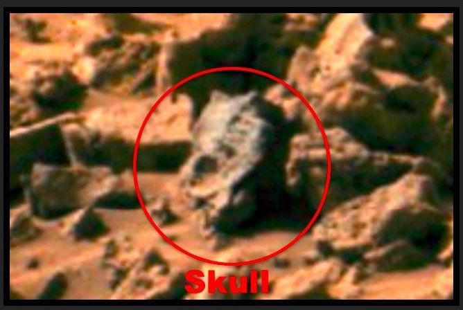 火星で恐竜の化石(頭骨)が発見される?歯までクッキリ?火星にもジュラ紀があった!?の画像1