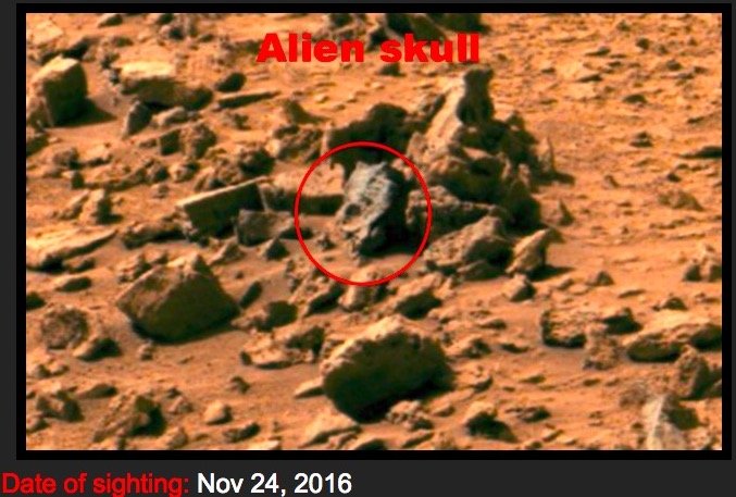 火星で恐竜の化石(頭骨)が発見される?歯までクッキリ?火星にもジュラ紀があった!?の画像2
