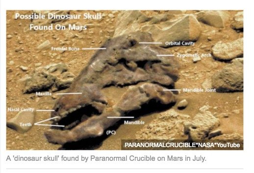 【衝撃】火星で恐竜の化石(頭骨)が発見される! 歯までクッキリ、火星にもジュラ紀があった!?の画像3