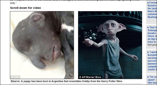 Dobby.jpg