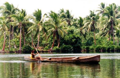 Dugout_canoe_Rennell.jpg