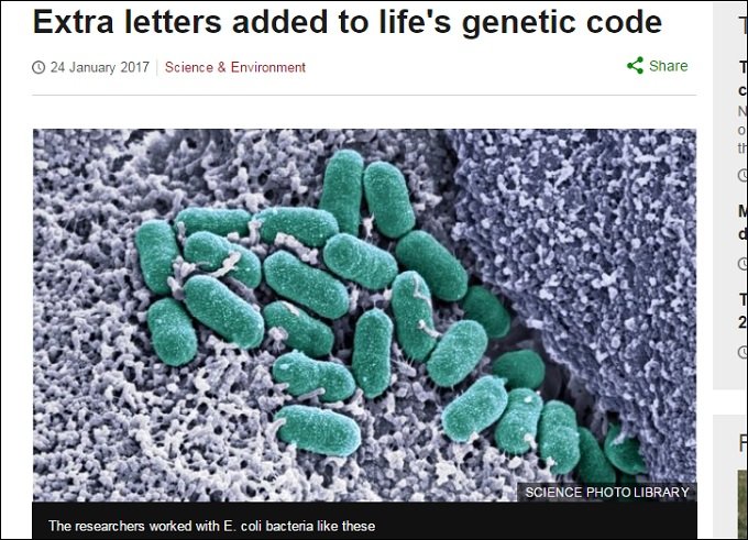 自然界には存在し得ない「半合成生物(E. coli)」が誕生! 理学博士が人工DNAのリスクと意義を緊急解説の画像1