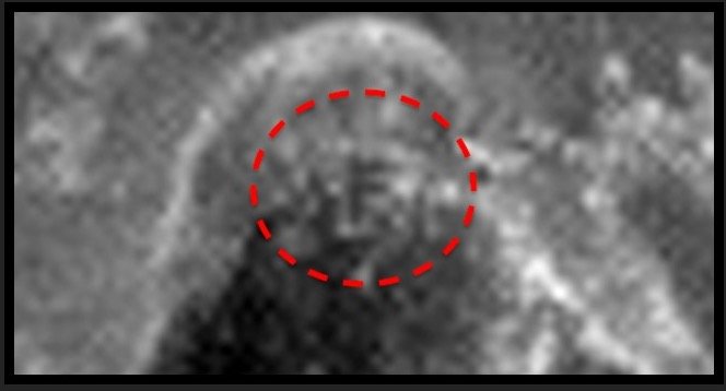 火星の地表でアルファベットのF発見!? 専門家「Fは火星文明のシンボル、他の文字も…」の画像2