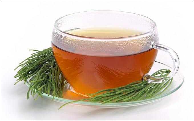 FieldHorsetail_2.jpg