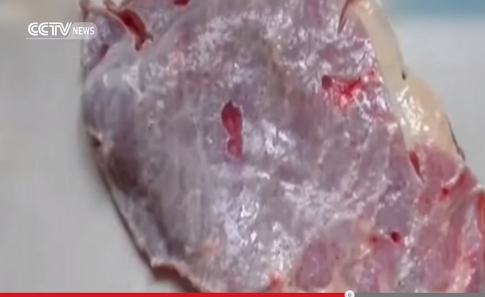 FrankensteinMeat.jpg