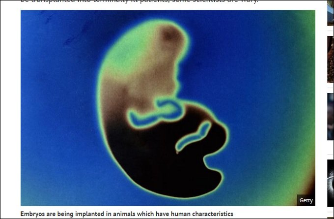 「人間の脳を持った動物」が誕生間近!? 現代のフランケンシュタイン達が挑むキメラ胚研究がヤバすぎるの画像2