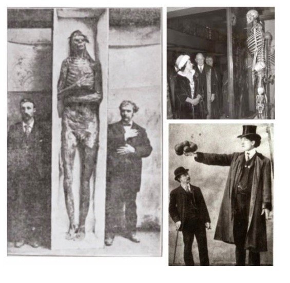 Giant_skeletons1201.jpg
