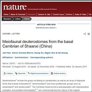 人類の祖先は口がアナルの激グロモンスターだった! 5億4千万年前の化石で判明(最新研究)の画像3