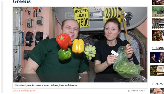 【朗報】宇宙空間で育てた野菜は安全だった!人類移住の夢が一歩前進!!の画像1