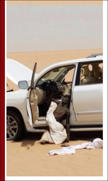 InTheDesert.jpg