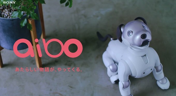 黒柳徹子が新型aibo発売に狂喜乱舞、即予約していたことが判明! 旧型とは一緒に散歩も、目撃者戦慄「プログラミングにはない動きをしていた」の画像2