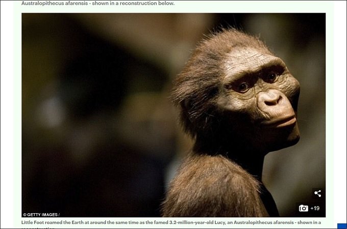 小さな足の初期人類「リトルフット」とは!? 人類最古の完全な骨格が再現され、衝撃の新事実が続々判明!の画像3