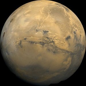 「火星には生物が100%存在する!」NASAが原始生物(ワーム)の写真撮影に成功か?の画像1