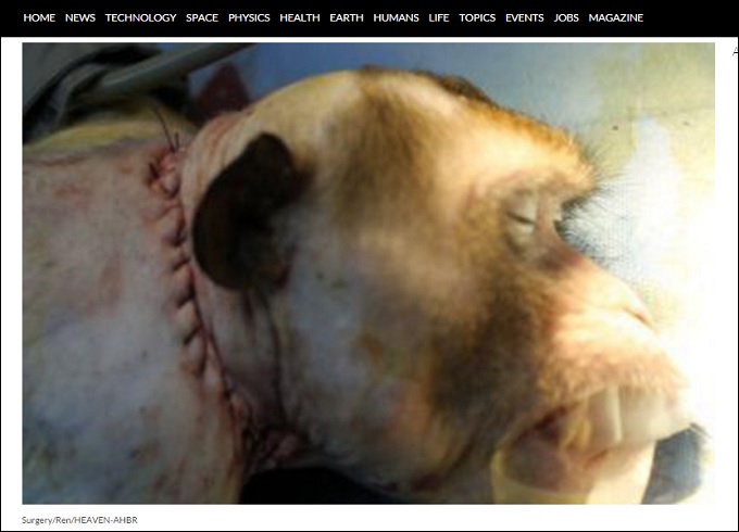 MonkeyHeadTransplant.jpg