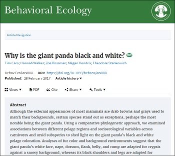 PandaWhiteBlack_5.jpg