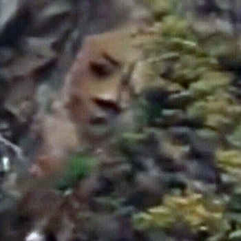 ReeksIsland_3.jpg