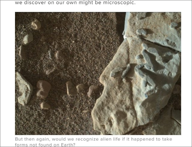 NASAが火星の「クネクネ芋虫」画像をTwitterに掲載、本気で調査へ！ 生物学者もガチ興奮「生命の痕跡の可能性大」の画像2