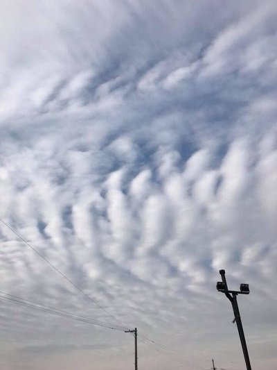 台湾地震は日本で大地震の前兆か!? 地震雲も発生… 前兆現象を徹底解説! 2月16日まで危険か?の画像3