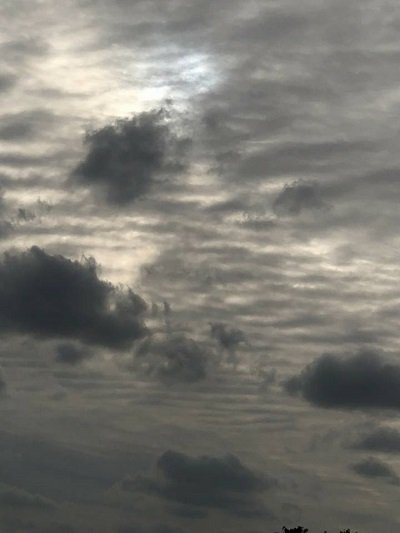 台湾地震は日本で大地震の前兆か!? 地震雲も発生… 前兆現象を徹底解説! 2月16日まで危険か?の画像4