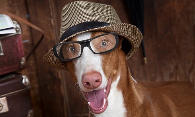 ThinkstockPhotos-531617476.jpg