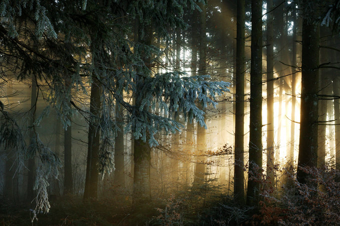 ThinkstockPhotos-87358431.jpg
