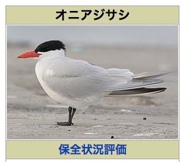 巨大卵型UFOが「海を吸い上げる」瞬間が激写される! 鳥や竜巻ではない3つの理由とは?の画像2