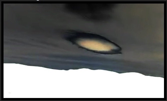 カムフラージュに失敗した「雲型UFO」激撮?専門家「機体の金属部分が反射してる」=アリゾナの画像1
