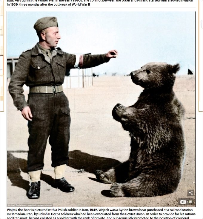 WarImages_1.jpg