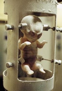「Xファイル」で神レベルに面白かったエピソード、ベスト4! 編集長が徹底解説、現実にあった事件も?の画像10