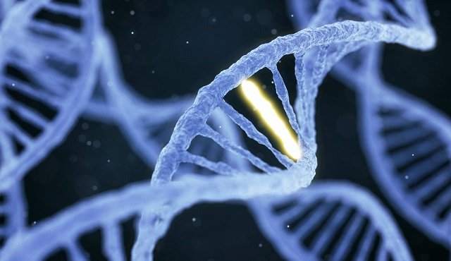 人間のゲノムに8%の「エイリアンDNA」が混入していると米国科学アカデミーが掲載! 古代の謎のウイルスが原因か?の画像1