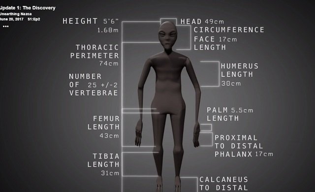 全身真っ白の「3本指のミイラ」が複数発見される! 医師「人間とは異なる1600年前のヒト型生物」DNA検査へ=ナスカの画像4