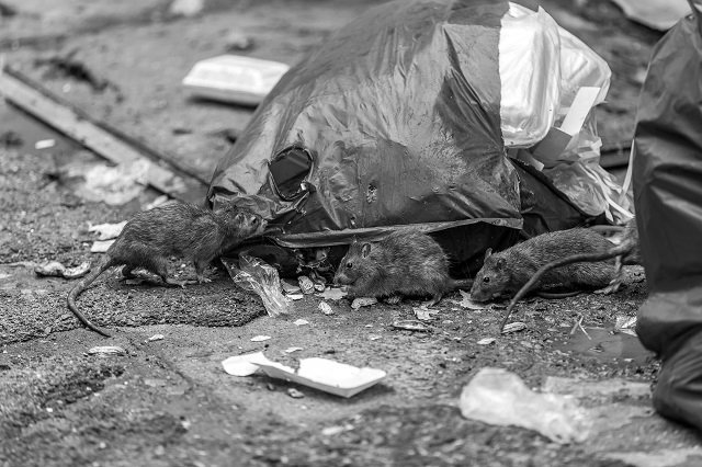 「ゴミ屋敷で死んだ債務者」の謎の死に様… 差し押さえ物件のリアルの画像3
