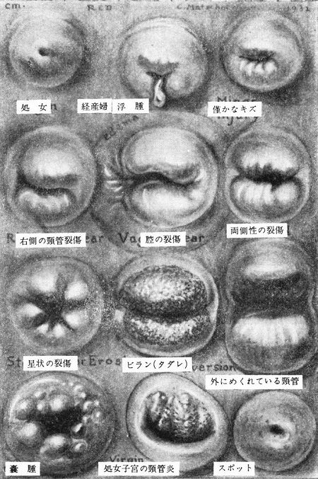 arumajiro2-2.jpg