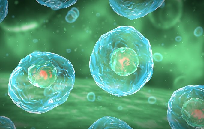 【ノーベル賞】不食人間とはオートファジーが超活発なニュータイプか!? 科学ライターが解説!の画像4